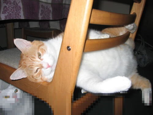 _特色体育旅游路线:边看风景边运动_,体育景观观赏旅游