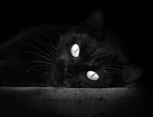 “法甲激战如火，豪门拼搏争夺联赛桂冠”，法甲 豪门